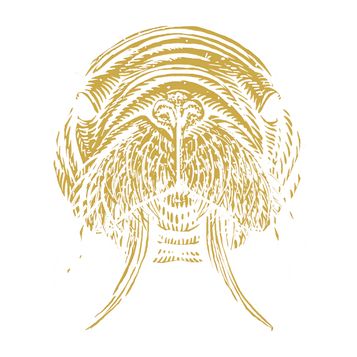 The Gnarly Sauce Company Flaming Whiskers Hot Sauce