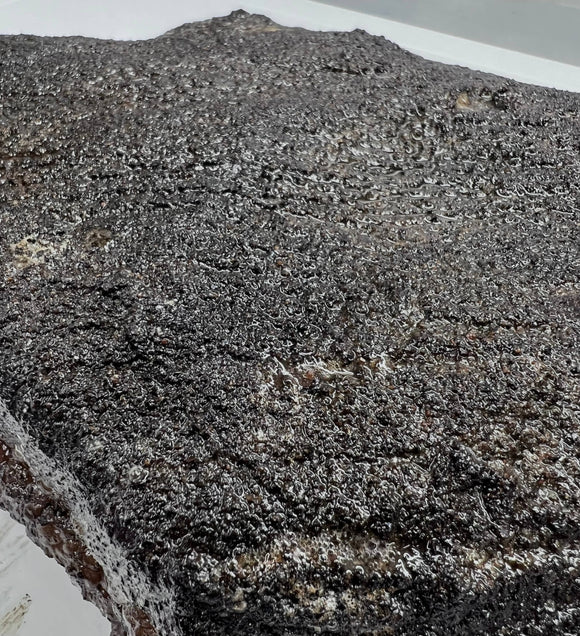 Butcher BBQ Texas Bark Rub