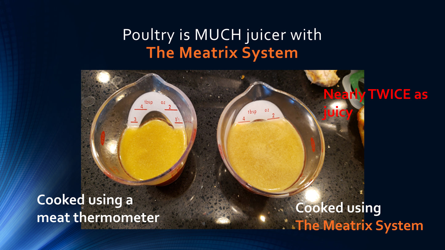 Imagitronix Meatrix System