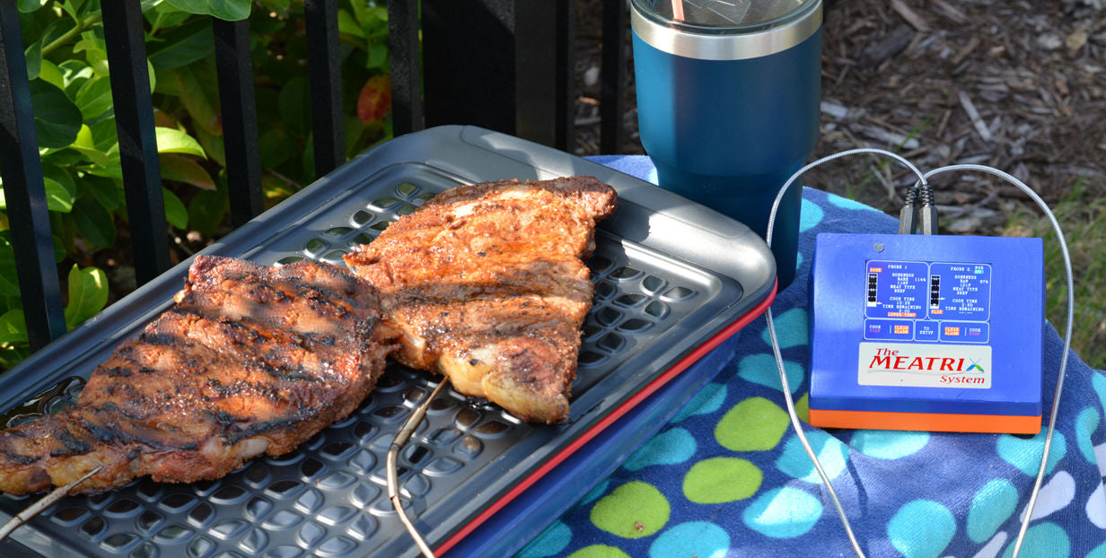 Imagitronix Meatrix System