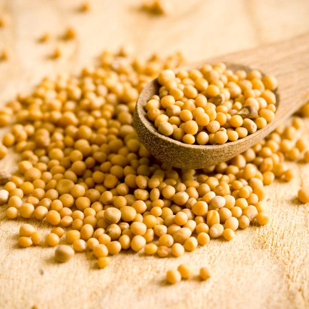 Mustard– Boost Your BBQ